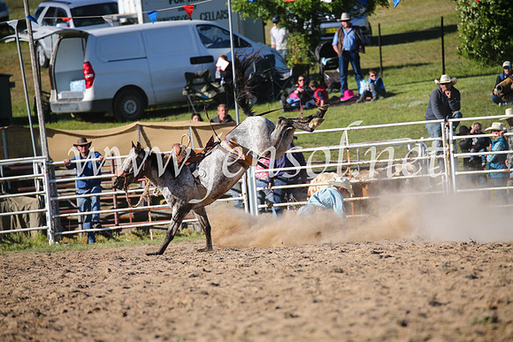 BungendoreRodeo2016-5084