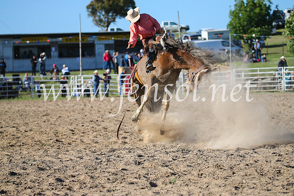 BungendoreRodeo2016-5107