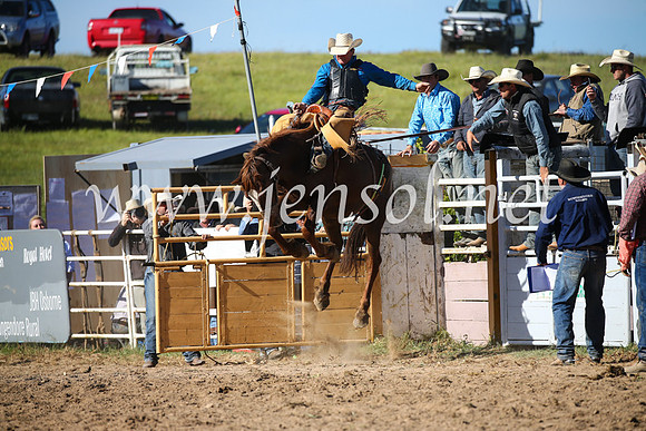 BungendoreRodeo2016-4570