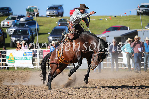 BungendoreRodeo2016-5157