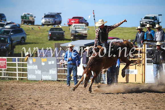 BungendoreRodeo2016-4427