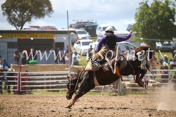BungendoreRodeo2016-2387
