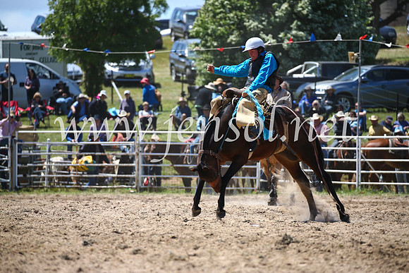 BungendoreRodeo2016-2512