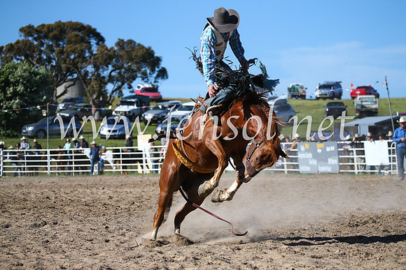 BungendoreRodeo2016-4481