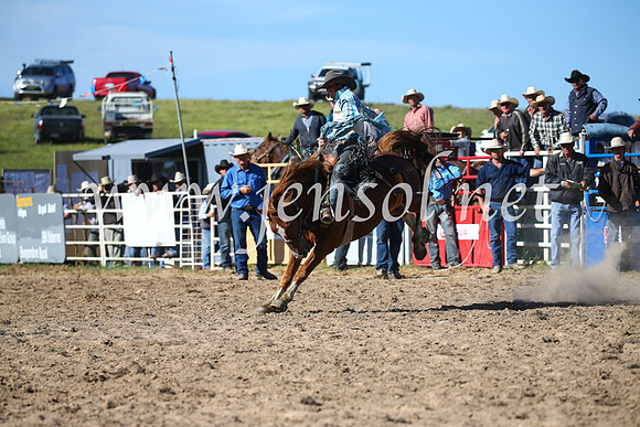 BungendoreRodeo2016-4463
