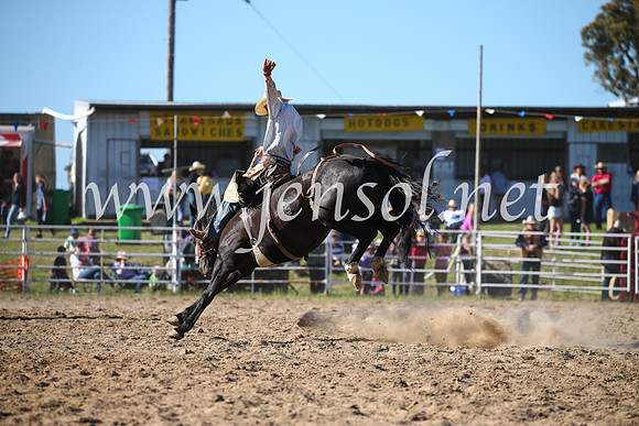 BungendoreRodeo2016-4536