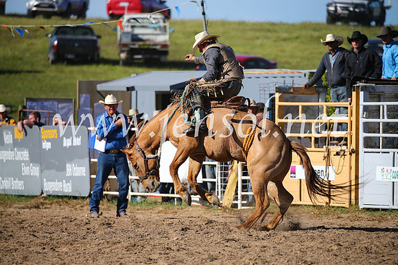 BungendoreRodeo2016-4639