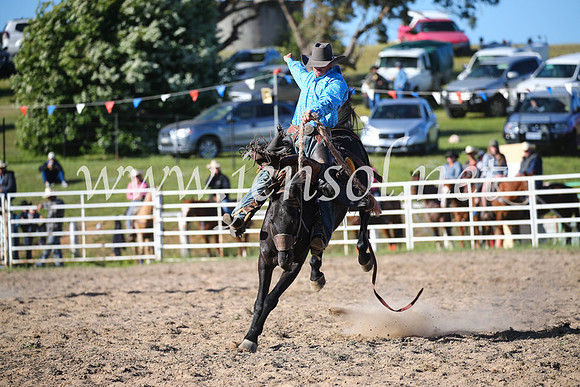 BungendoreRodeo2016-5012