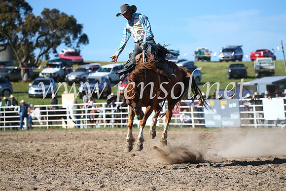 BungendoreRodeo2016-4488