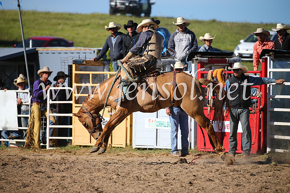 BungendoreRodeo2016-4628