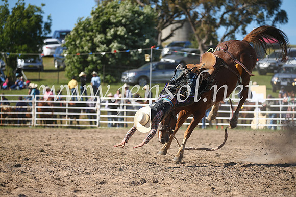 BungendoreRodeo2016-4458