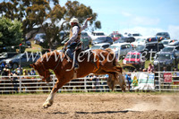 BungendoreRodeo2016-2436