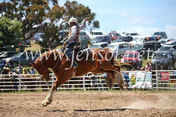 BungendoreRodeo2016-2436