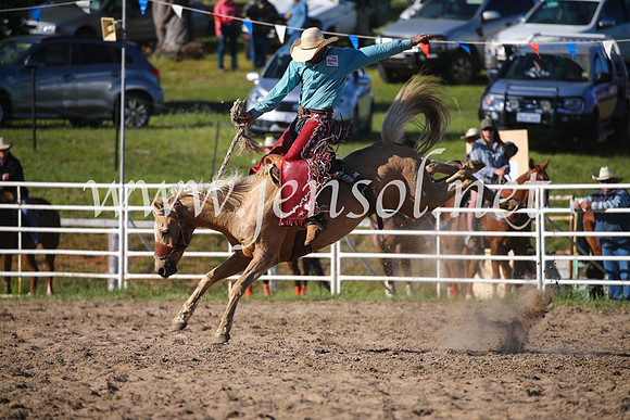 BungendoreRodeo2016-4823