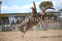 BungendoreRodeo2016-2365