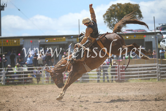 BungendoreRodeo2016-2365