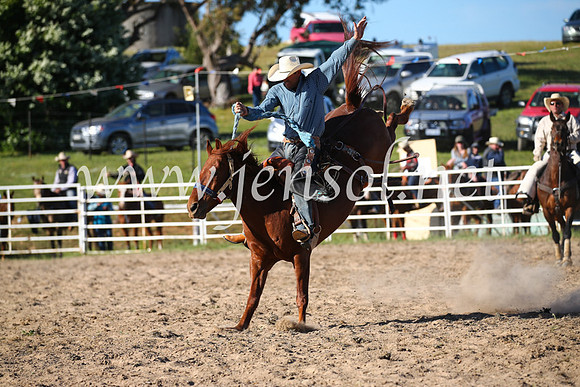 BungendoreRodeo2016-4766