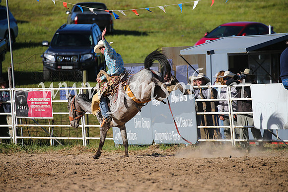 BungendoreRodeo2016-5055