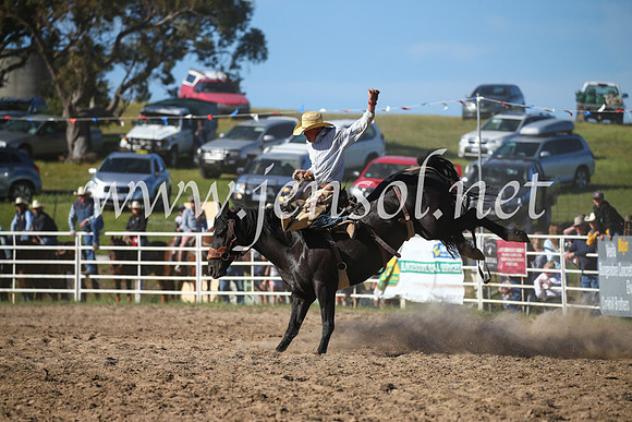 BungendoreRodeo2016-4516