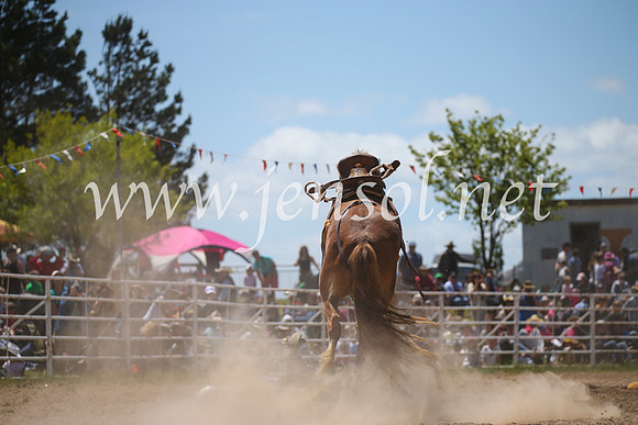 BungendoreRodeo2016-2468