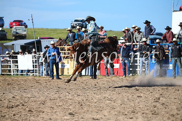 BungendoreRodeo2016-4464
