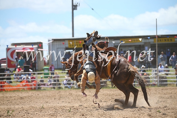 BungendoreRodeo2016-2374