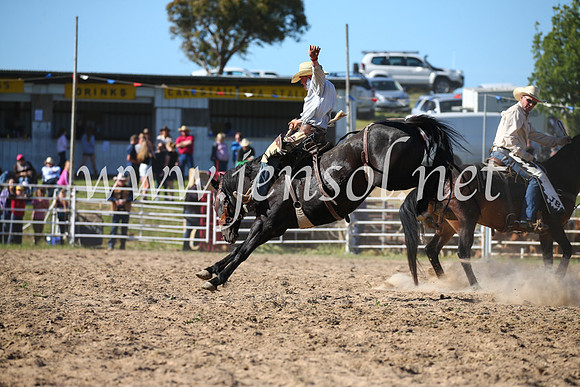 BungendoreRodeo2016-4523