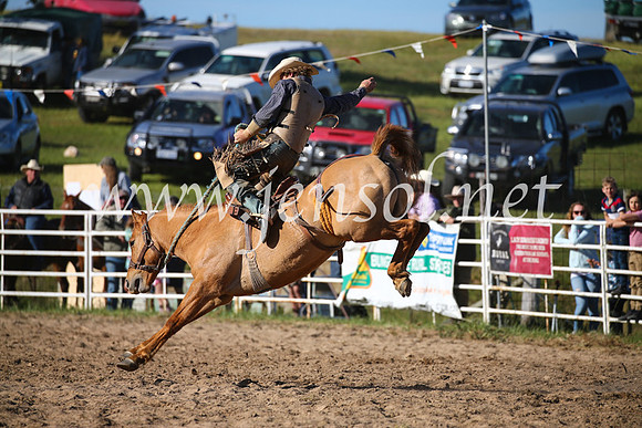 BungendoreRodeo2016-4647