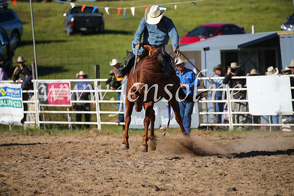 BungendoreRodeo2016-4753