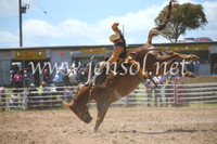BungendoreRodeo2016-2368