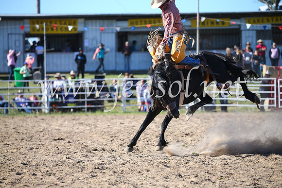 BungendoreRodeo2016-4557