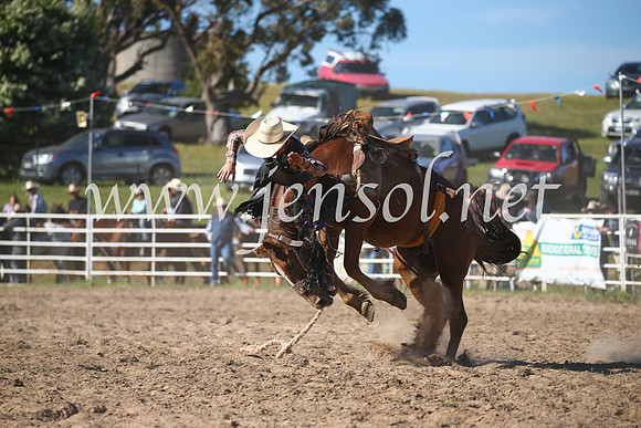 BungendoreRodeo2016-4430