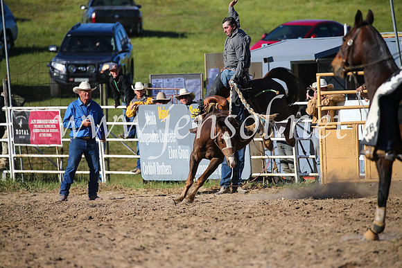BungendoreRodeo2016-4909