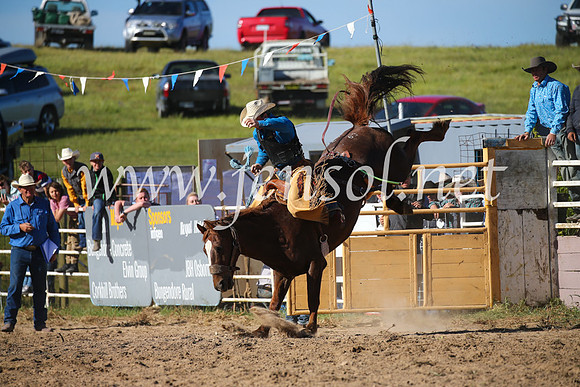 BungendoreRodeo2016-4578