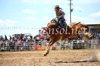 BungendoreRodeo2016-2449