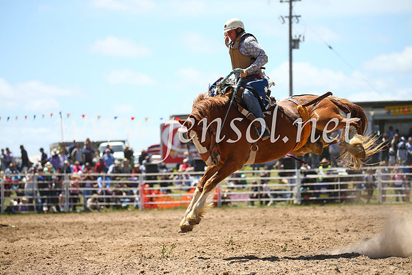 BungendoreRodeo2016-2449