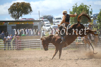 BungendoreRodeo2016-2366