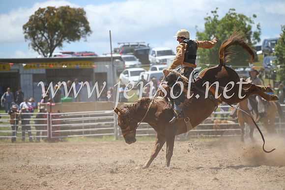 BungendoreRodeo2016-2366