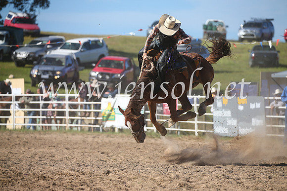 BungendoreRodeo2016-4435