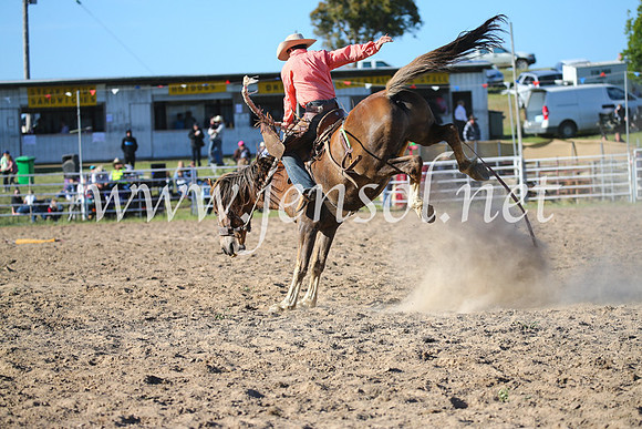 BungendoreRodeo2016-5119