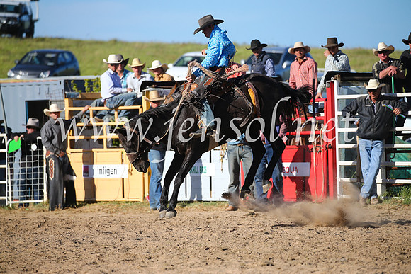 BungendoreRodeo2016-4989