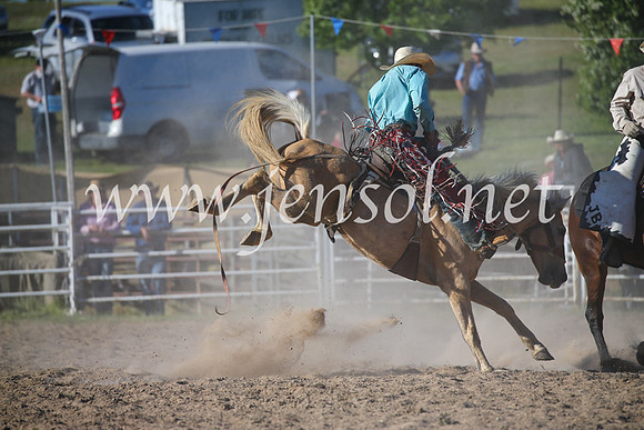 BungendoreRodeo2016-4873