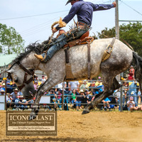 JindabyneRodeo2019_2106