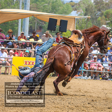 JindabyneRodeo2019_2891