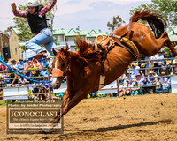 JindabyneRodeo2019_1035