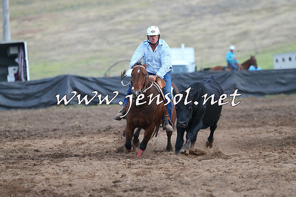 CabanandraCampdraft2015_1194