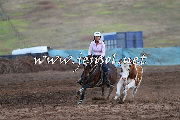 CabanandraCampdraft2015_1297