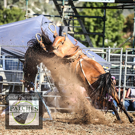 QueanbeyanRodeo2018_5324