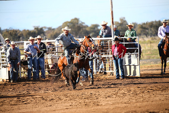 CoonambleRodeoCampdraftSat_0358
