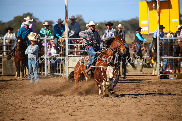 CoonambleRodeoCampdraftSat_0912